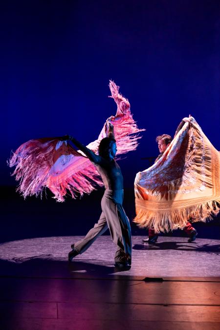 Members of Flamenco Vivo Carlota Santana on stage