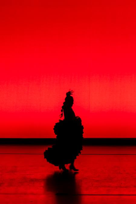 Member of Flamenco Vivo Carlota Santana on stage in silhouette