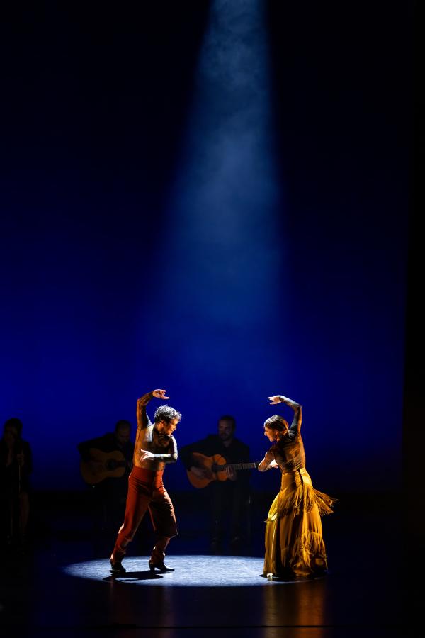 Members of Flamenco Vivo Carlota Santana on stage under a spotlight